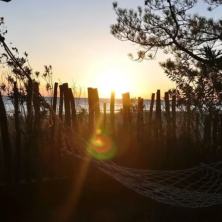 ヴィラ Absolutely Unique Double Beach House